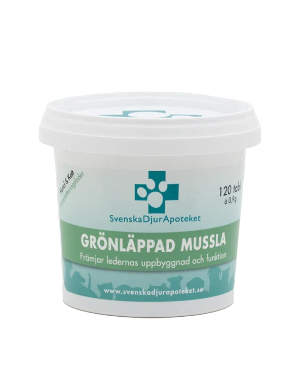 Grönläppad Mussla