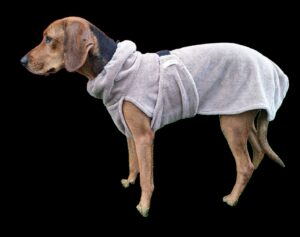 torktäcke hund