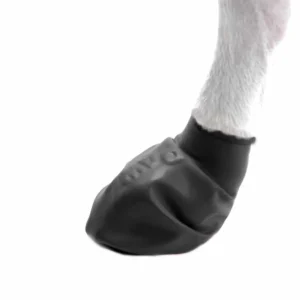 pawz dog boots hundskor